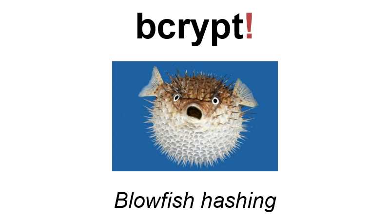 bcrypt (Blowfish hashing)