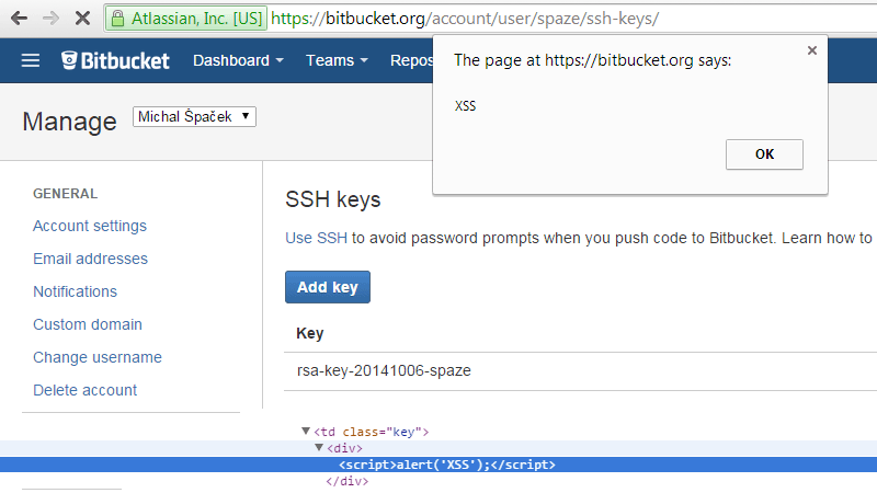 The page at https://bitbucket.org says: XSS