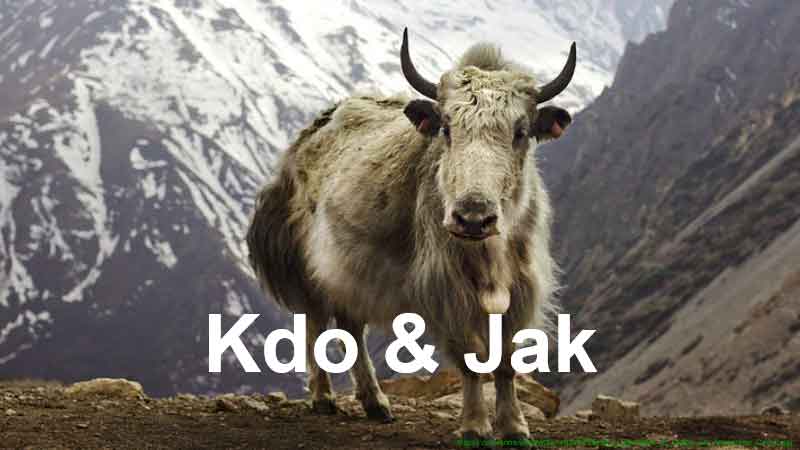 Kdo & Jak