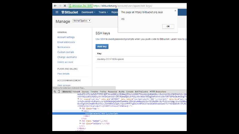 The page at https://bitbucket.org says: XSS