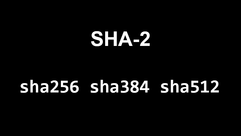 SHA-2: sha256, sha384, sha512