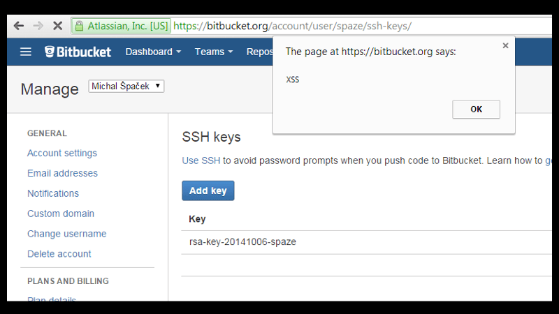 The page at https://bitbucket.org says: XSS